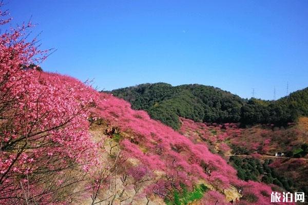 溪口风景区一日游 门票价格