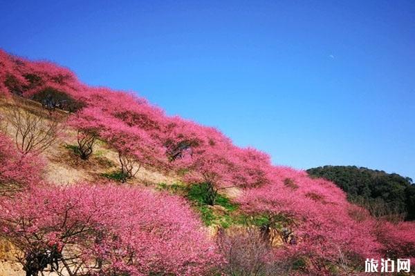 溪口风景区一日游 门票价格