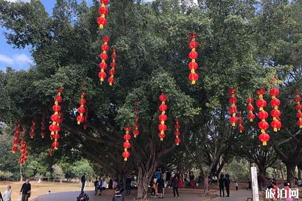 深圳莲花山公园在哪里 怎么去