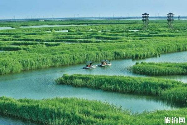 高邮湖芦苇荡湿地公园什么季节最美 游玩攻略