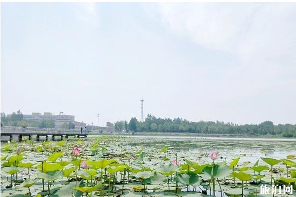 河北衡水湖简介 自驾游路线和交通攻略