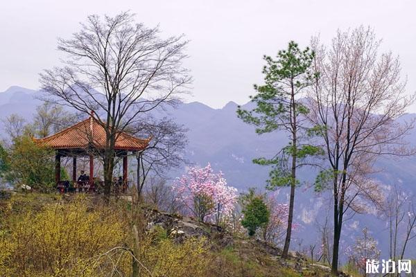 北川药王谷门票多少钱 景点介绍