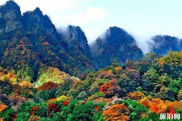 四川光雾山景区门票 景点介绍