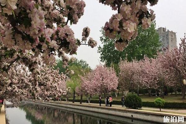 元大都城垣遗址公园简介 怎么样