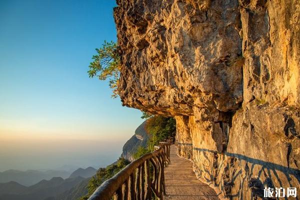 金佛山风景区门票价格 金佛山风景区旅游攻略