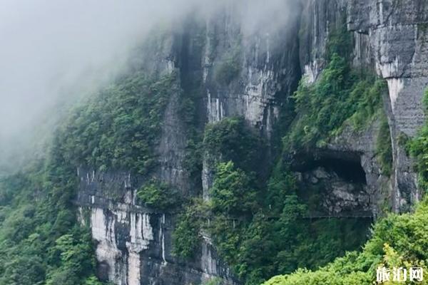 金佛山风景区门票价格 金佛山风景区旅游攻略