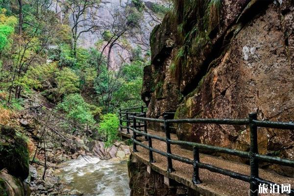 大鄣山卧龙谷门票多少钱 大鄣山卧龙谷风景区游玩攻略