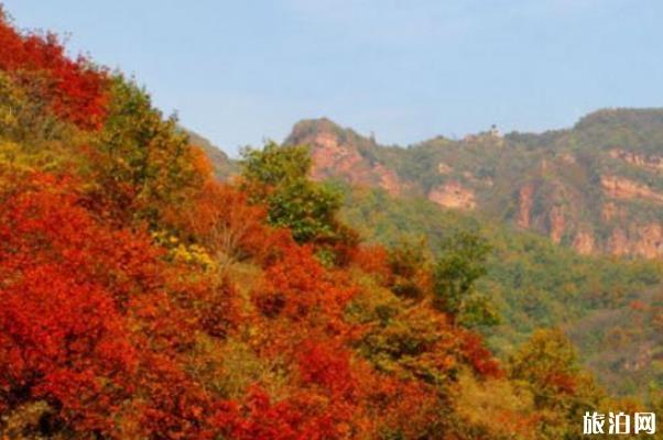 禹州大鸿寨风景区门票多少钱 禹州大鸿寨怎么样