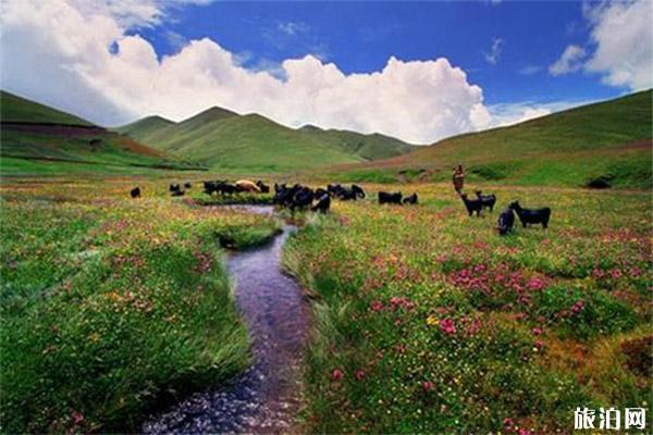 珠江源风景区介绍 游玩攻略-门票价格