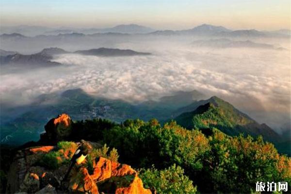 北京百花山风景区介绍 百花山自驾攻略-游玩攻略