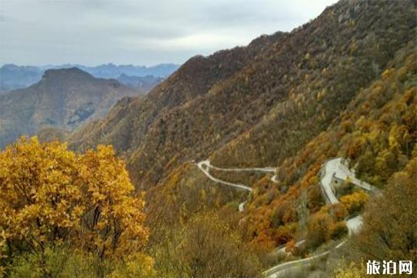 北京百花山风景区介绍 百花山自驾攻略-游玩攻略