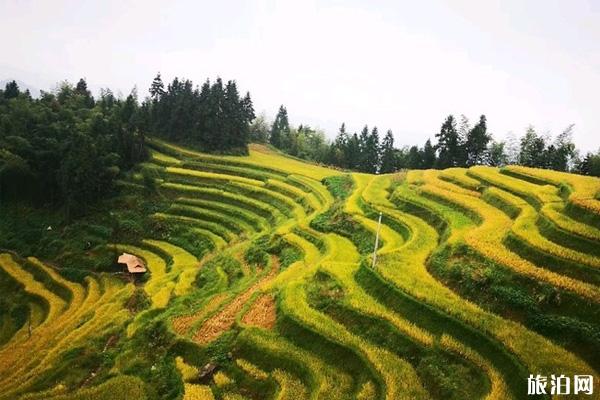 紫鹊界梯田在哪里 紫鹊界梯田旅游攻略