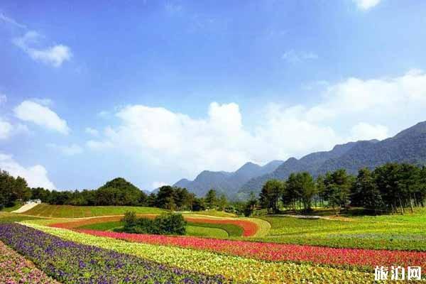 重庆巫溪红池坝风景区门票 重庆巫溪红池坝风景区游玩攻略