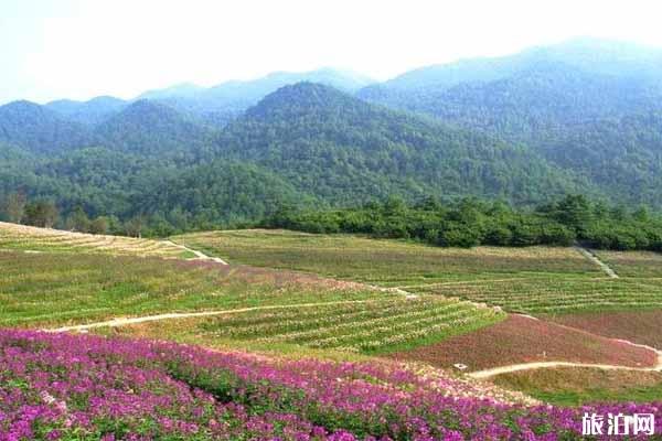 重庆巫溪红池坝风景区门票 重庆巫溪红池坝风景区游玩攻略