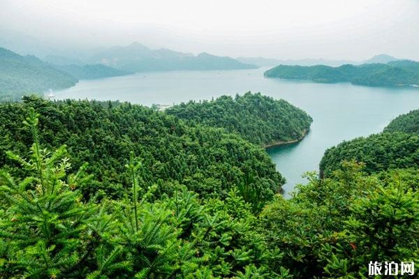 酒仙湖门票多少钱 酒仙湖景区怎么样