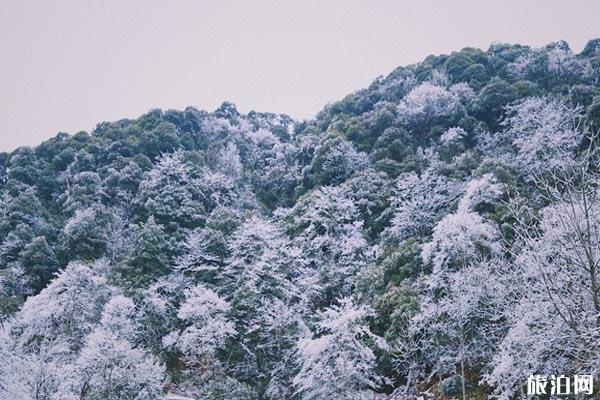 武冈云山国家森林公园好玩吗 武冈云山国家森林公园门票多少钱