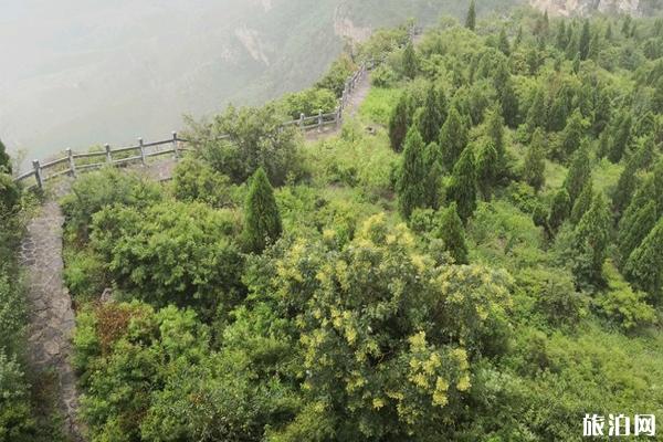 鹤壁云梦山风景区门票多少钱 鹤壁云梦山风景区游玩攻略