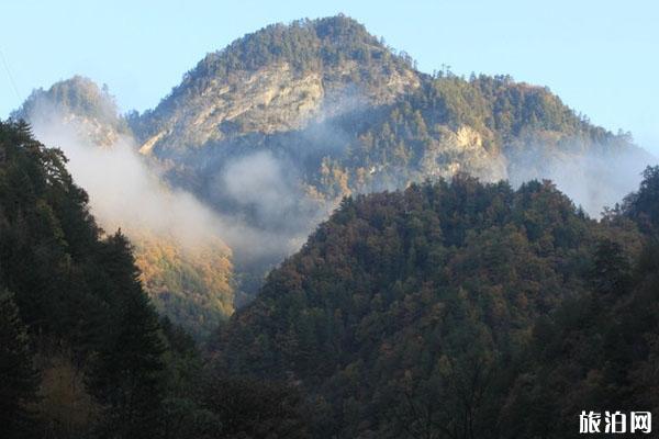 佛坪熊猫谷旅游区怎么样 佛坪熊猫谷一日游攻略