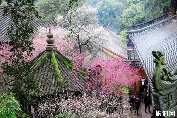 浙江天台山旅游风景区介绍 浙江天台山自驾游攻略