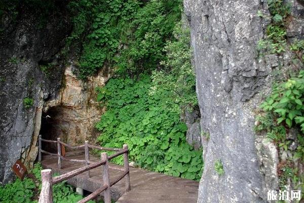 陕西天竺山国家森林公园怎么样 陕西天竺山国家森林公园游玩攻略