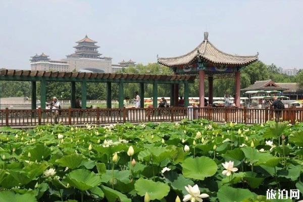 北京莲花池公园在哪里门票价格-景区介绍及游玩攻略