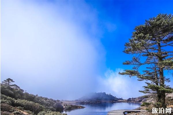 轿子雪山旅游攻略 轿子雪山一日游路线推荐