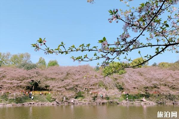 湖南省森林植物园门票及游玩路线