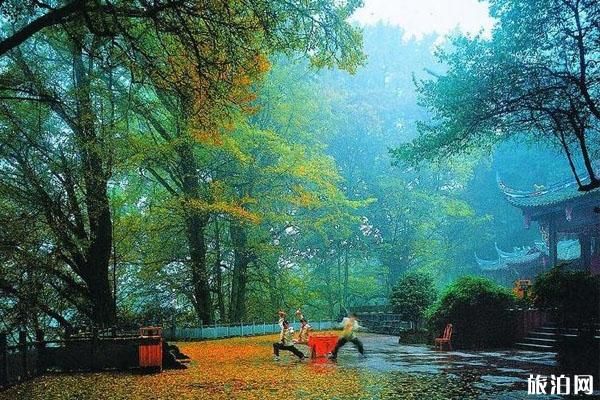 蒙顶山风景区介绍 蒙顶山旅游景点攻略