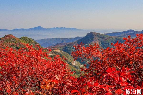 河南长寿山风景区在哪里 有什么好玩的