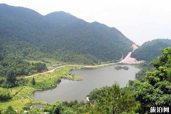 三百山风景区怎么样 三百山旅游攻略