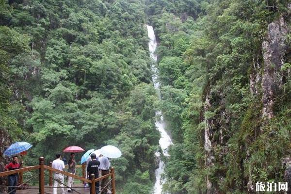 三百山风景区怎么样 三百山旅游攻略