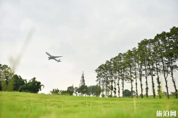 双流空港运动公园在哪里-景区介绍及游玩攻略