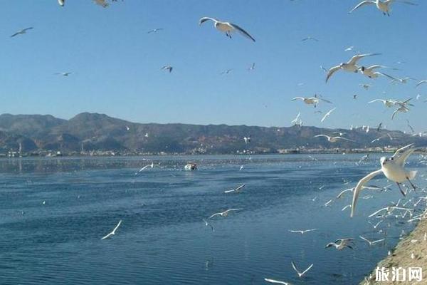 昆明滇池旅游攻略 昆明滇池一日游怎么玩