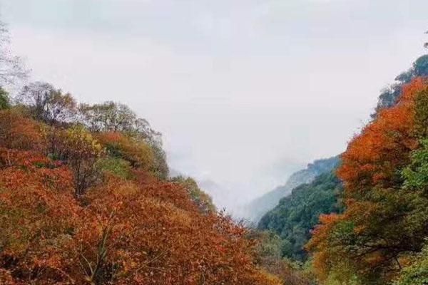 少华山国家森林公园门票 景点介绍