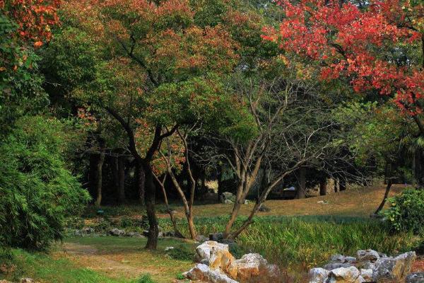 杭州植物园旅游攻略 门票交通