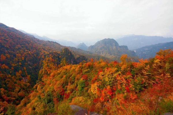 鱼泉山风景区门票价格及游玩攻略-美食推荐