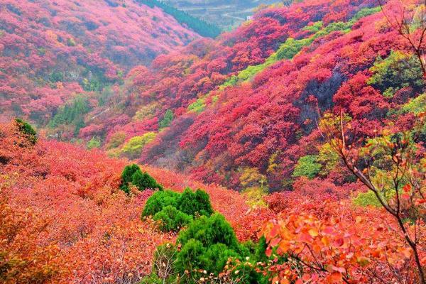 岳麓山游玩攻略 最佳观赏时间