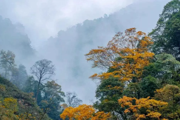 阿坝丫巴寨地址交通及观赏攻略