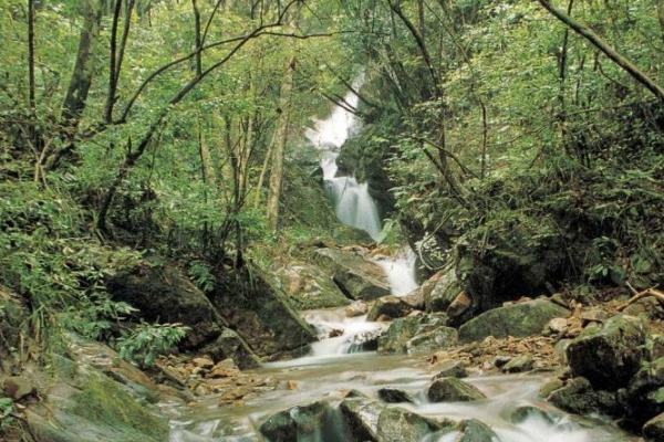 千岛湖森林氧吧值得去吗 千岛湖森林氧吧门票多少钱