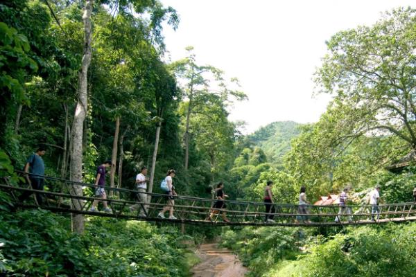 西双版纳原始森林公园旅游攻略 门票多少钱