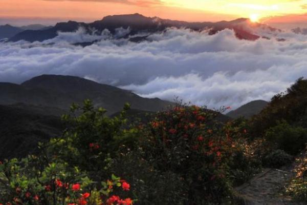 广西贺州姑婆山门票多少钱 景点介绍及交通