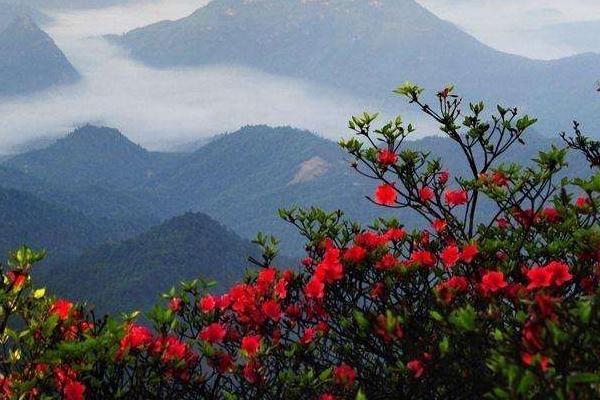 广西贺州姑婆山门票多少钱 景点介绍及交通