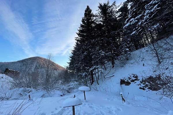 朝阳龙凤山森林公园门票多少钱 龙凤山森林公园旅游攻略