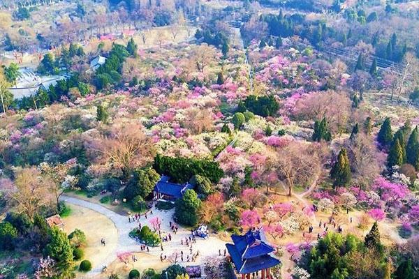 南京梅花山旅游景区介绍 门票多少钱