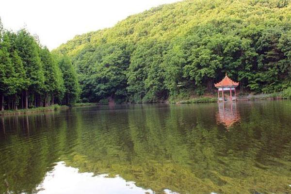 天池山国家森林公园怎么样 游玩攻略