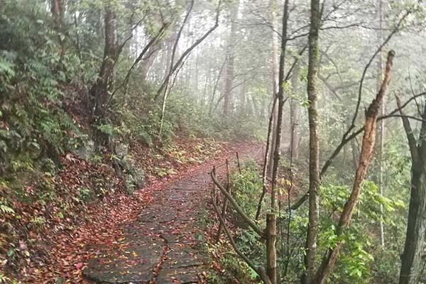 文公山风景区怎么样 文公山风景区要不要门票