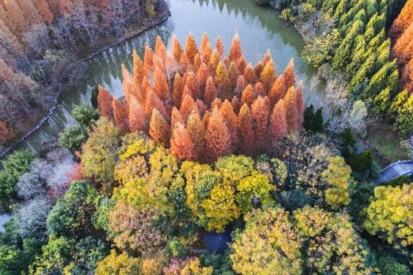 东平国家森林公园在哪 门票多少钱