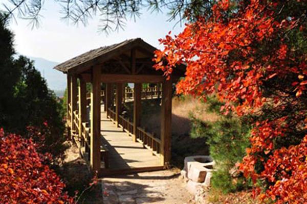 石膏山在哪里 石膏山风景区景点介绍