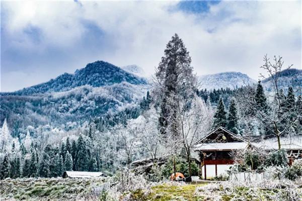 成都大坪村在哪里怎么去及游玩攻略