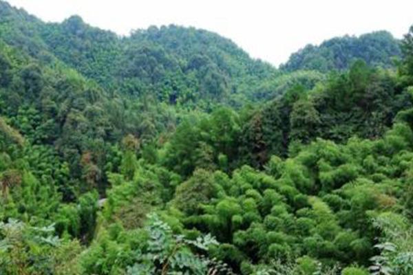 峨城山在哪里 峨城山好玩吗